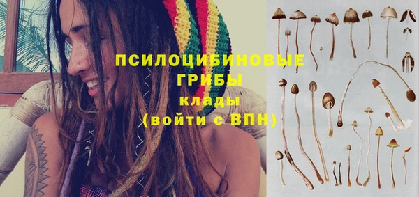 стафф Куйбышев
