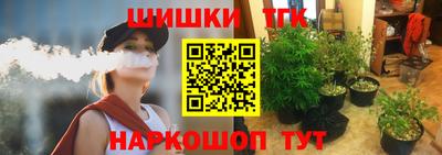 ешки Шелехов