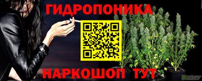 стафф Чебоксары