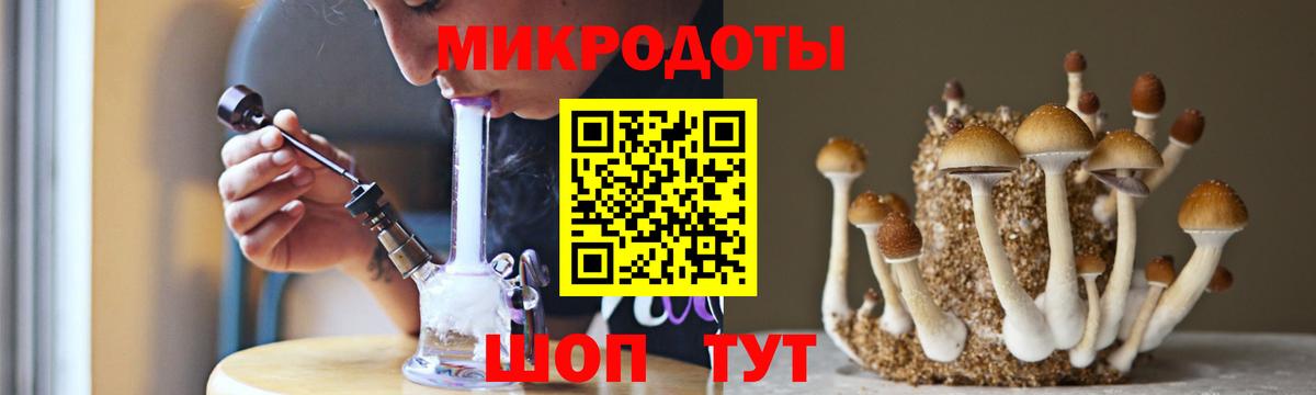 Псилоцибиновые грибы прущие грибы  Вход с VPN  Североморск 